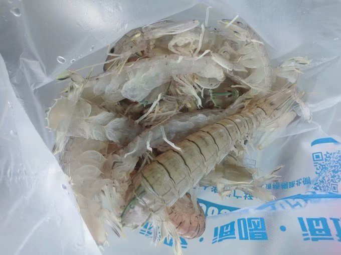 最新船钓视频，探秘小巷深处的船钓乐趣与特色小店揭秘