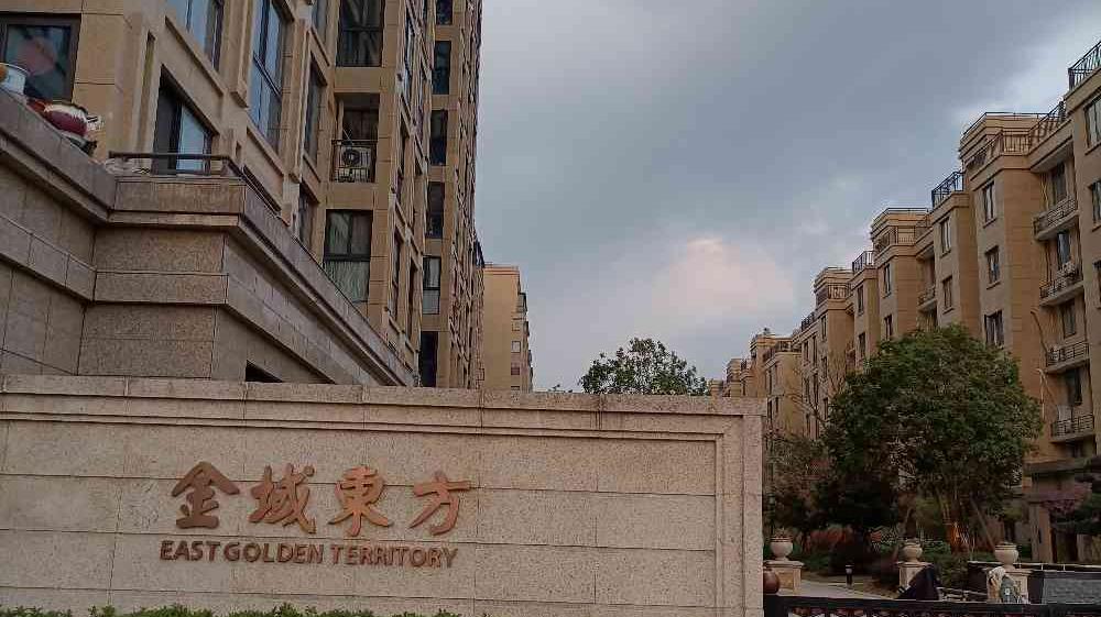金域东方最新动态更新概况