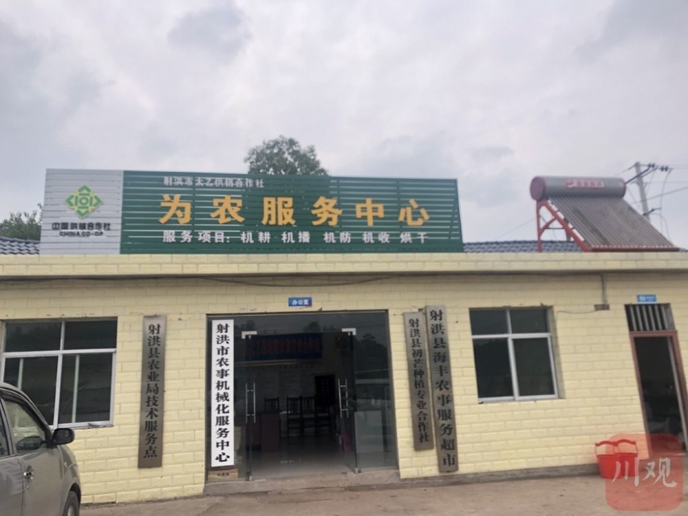 洛阳保姆招聘最新信息及新生活启程，学习成就自信与快乐