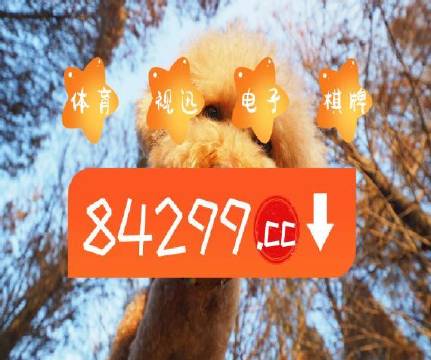 澳门天天彩正版免费挂牌,高效执行方案_nShop69.852