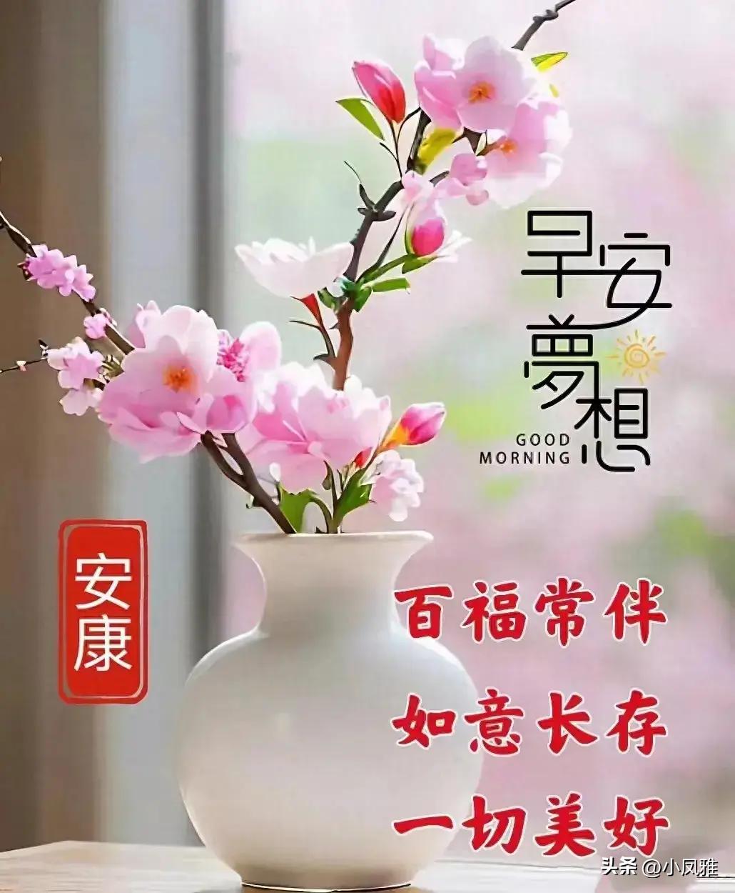 2024年天天彩资料免费大全,策略规划_家庭版84.507