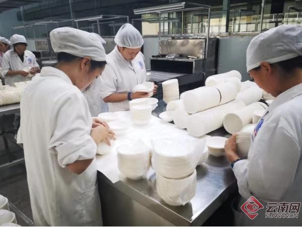 彝良最新招聘信息，引领科技潮流，打造未来生活职业机会揭秘