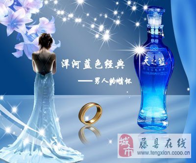 洋河最新招聘信息及求职步骤指南全解析