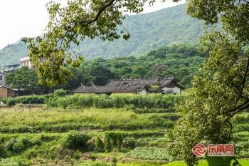 最新闽南语歌曲与科技融合，高科技产品介绍，传统与创新的完美融合