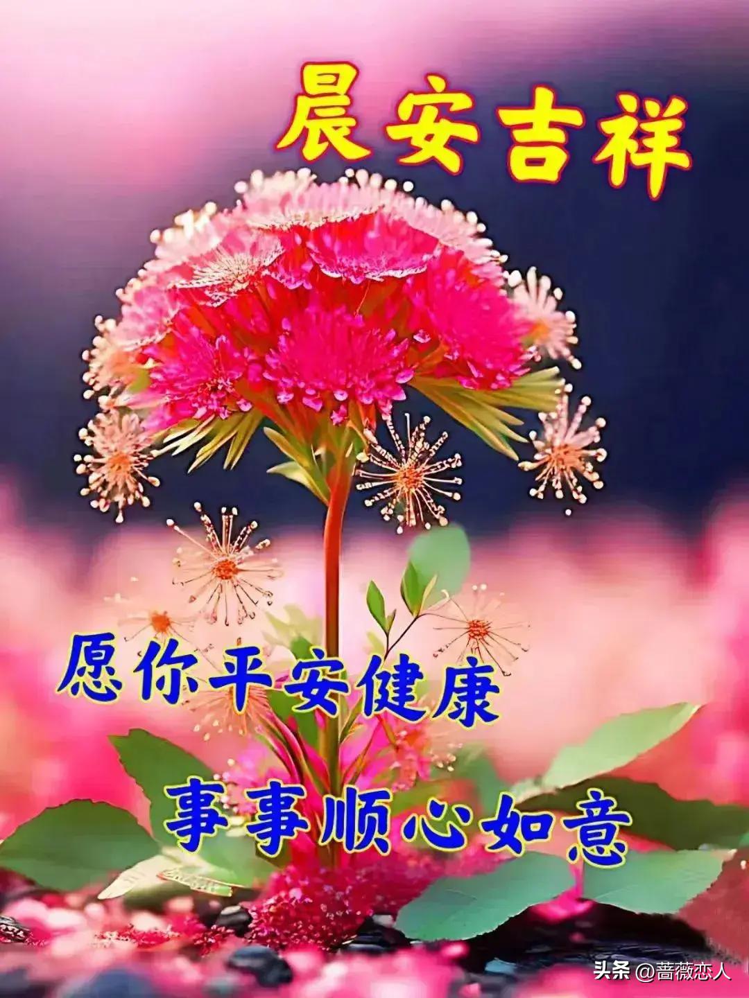 2024天天彩全年免费资料,全身心数据计划_酷炫版79.376