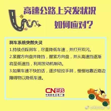 2024新澳门王中王正版,高速应对逻辑_携带版17.718