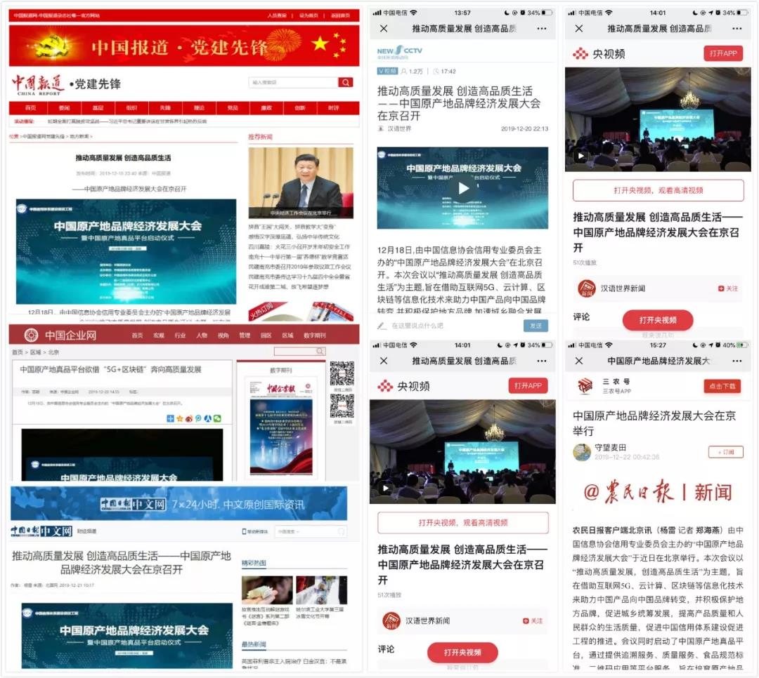 香港大众网免费资料查询网站,专业解读评估_媒体版61.954