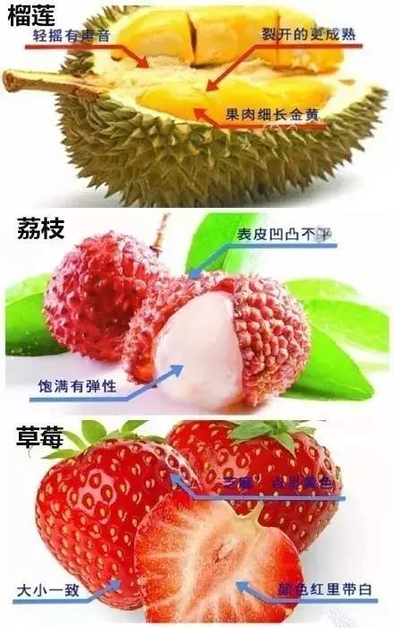西瓜最新品种种植与选择指南，一步掌握全新种植技术