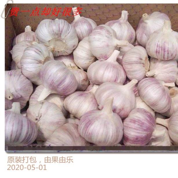 今日杞县大蒜价格新鲜出炉，不容错过的最新行情！