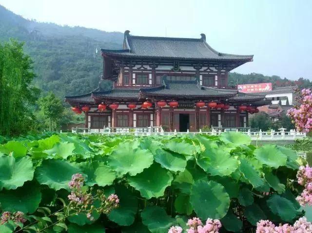 日本入境上海的最新规定详解，初学者与进阶用户的入境步骤指南