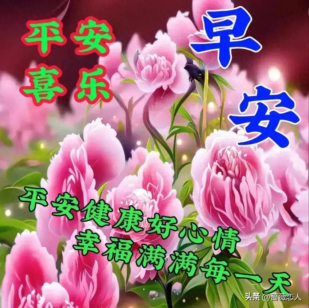 2024天天彩全年免费资料,实地观察解释定义_装饰版31.536
