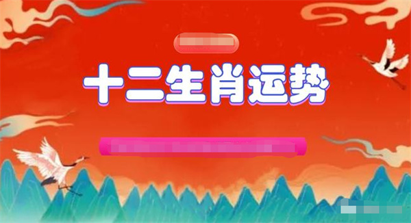2024年一肖一码一中一特,数据整合解析计划_见证版31.496