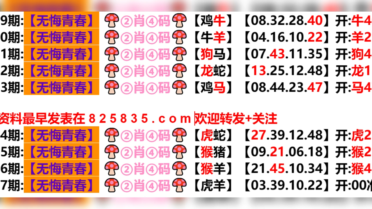 2024年新奥门天天开彩,实地研究解答协助_安静版31.229