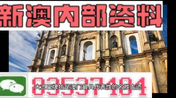 2024年新澳门正版资料,专家解说解释定义_流线型版31.598