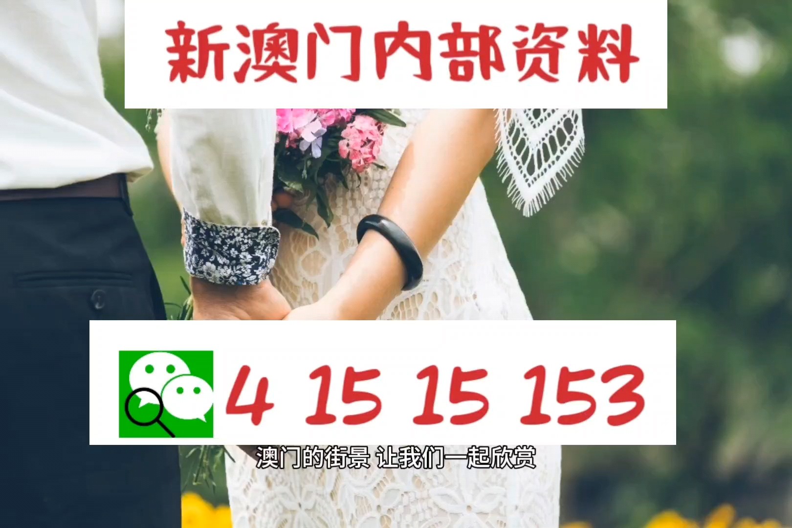 2024新奥正版资料四不像,解答配置方案_装饰版31.552