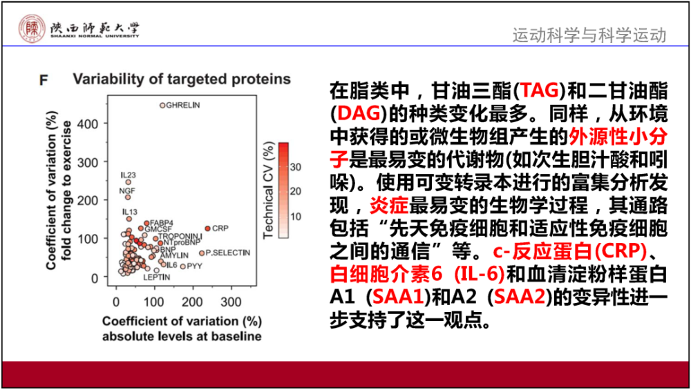 2024新奥精准正版资料,专业解读操行解决_精英版31.939