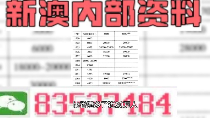 2024新奥精准正版资料,专业解读方案实施_定制版31.468
