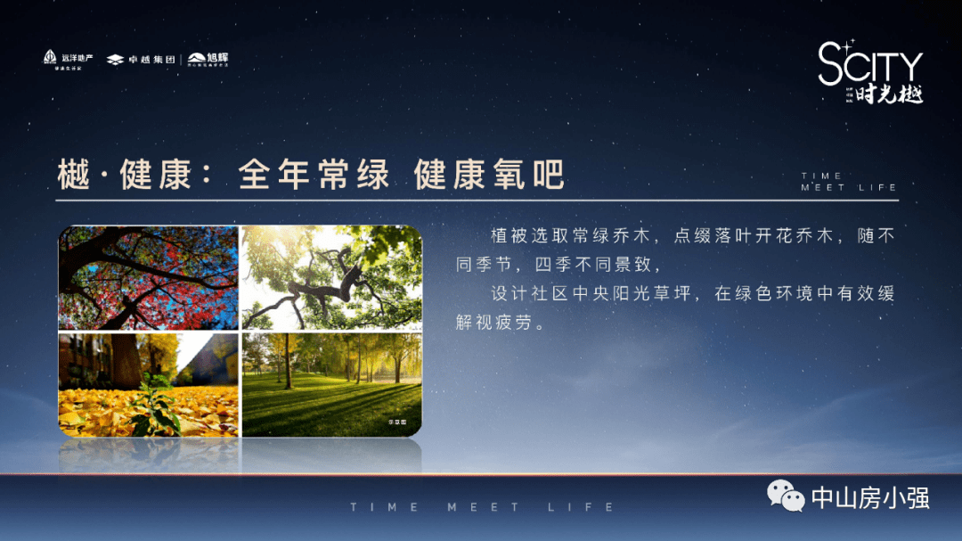 2024新澳开奖结果记录查询,科学依据解析_怀旧版31.850