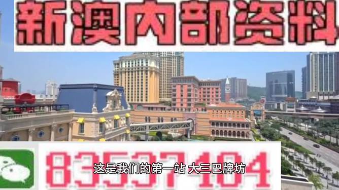 2024新澳精准正版资料,信息加工_丰富版31.484