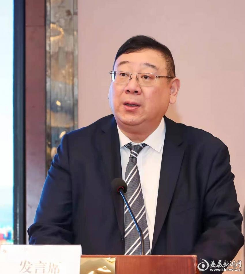 国网最新战略解析与观点阐述，深度探讨国网未来发展之路