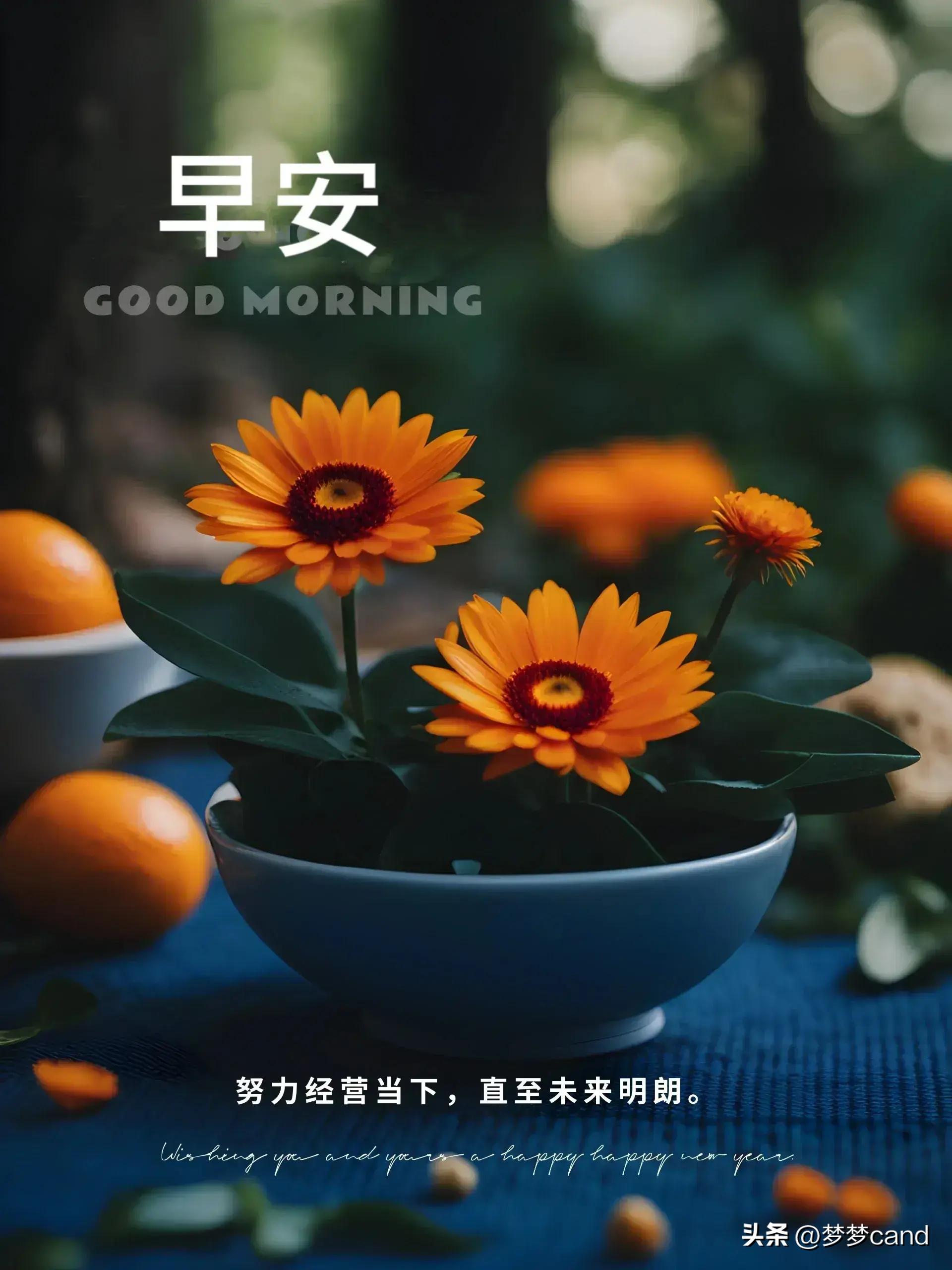 2024天天彩正版资料大全十,快速设计问题方案_M版76.420
