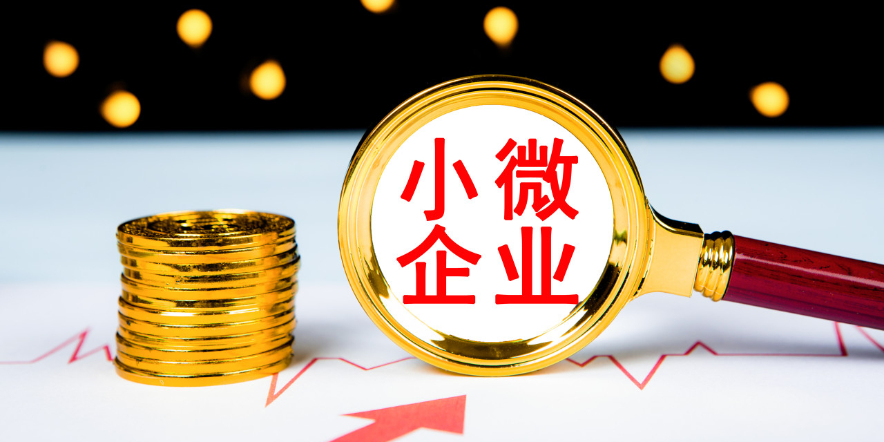 最新小微企业规定下的独特小巷风情小店蓬勃发展