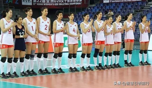 2024澳门天天开好彩大全65期,灵活操作方案设计_VR版54.757