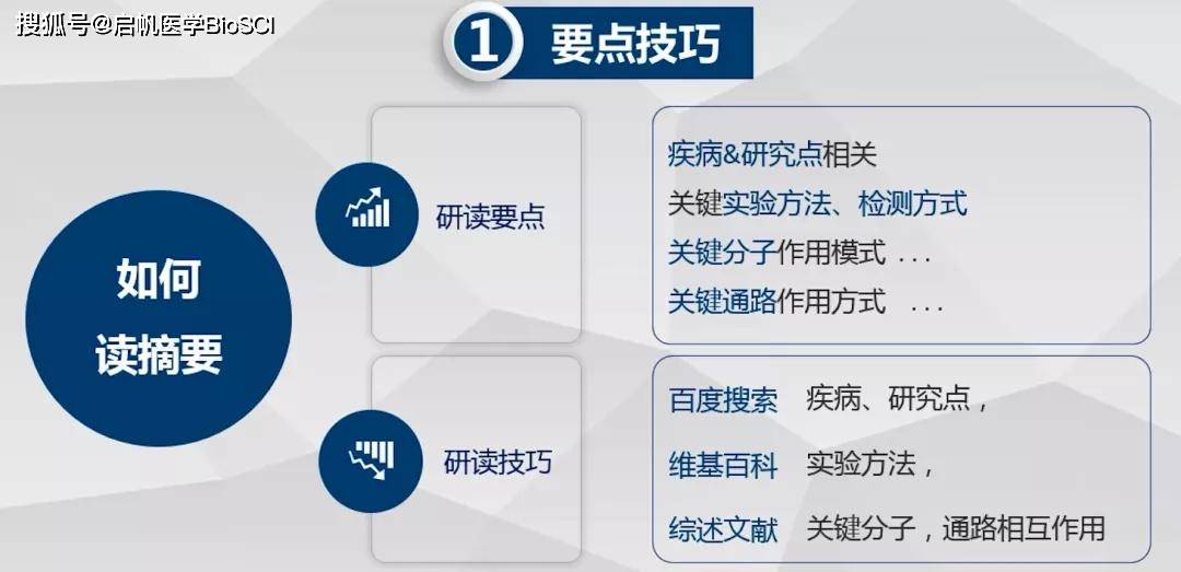 新奥精准资料免费大全,高速响应策略解析_XR89.380