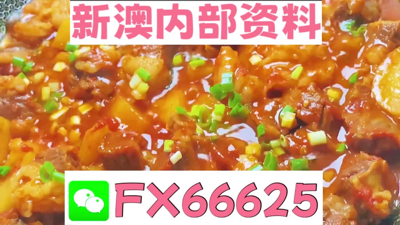 新奥门特免费资料大全凯旋门,深入分析定义策略_Superior88.767