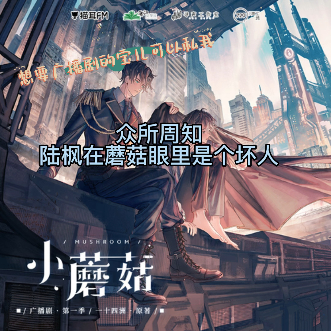 陆枫最新章节揭秘，小巷中的隐秘美食探秘（涉黄警示）
