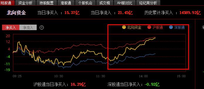 600758最新资讯深度解析，股市动态与行业前沿同步追踪