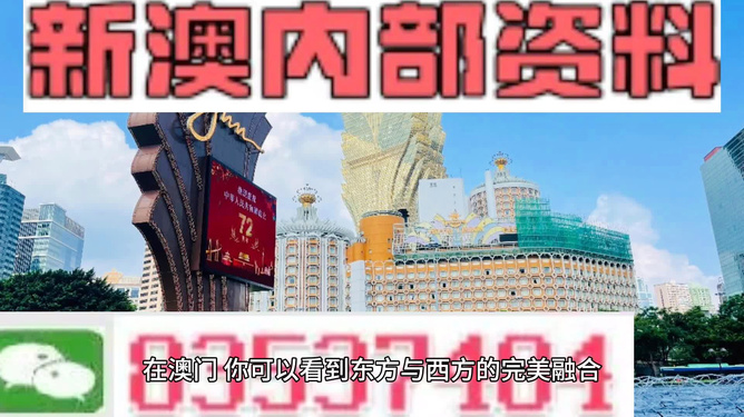 2024新澳六叔最精准资料,社会责任实施_动感版16.199