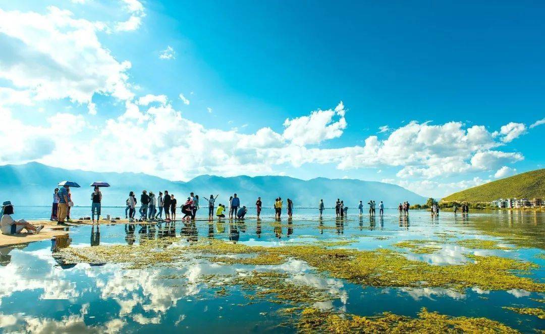 XDD最新赛事回顾，自然美景之旅，探寻内心平静的时刻