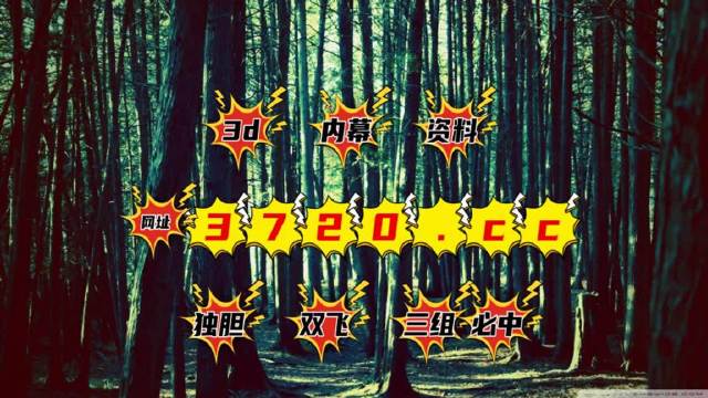 2024澳门天天六开彩开码,实时处理解答计划_UHD16.656