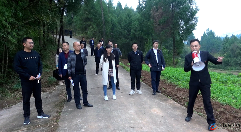 仪陇县最新资讯，友情、家庭与新鲜资讯的温馨交织日常