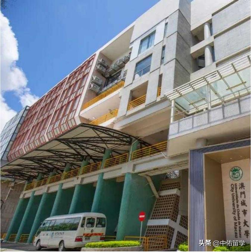2024澳门天天彩期期精准,实地应用实践解读_动画版16.388