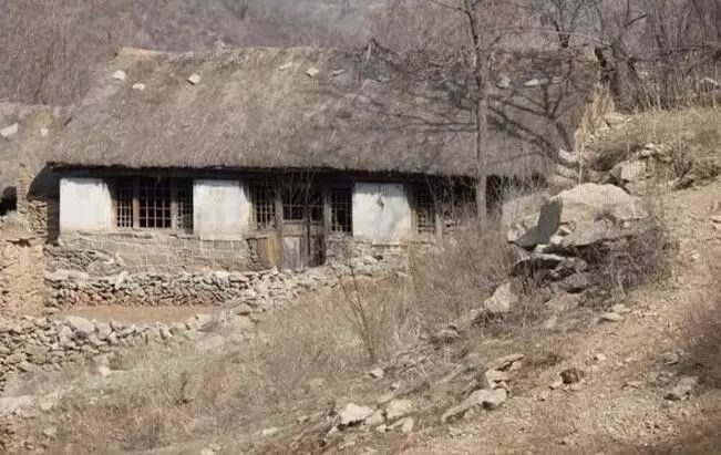当代农村温情变迁，新版乡村情感故事探秘