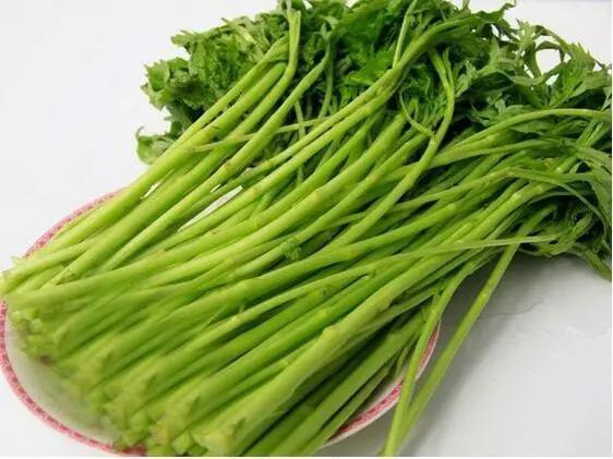 深度解析最新致富商机，观点阐述助你开启财富之门