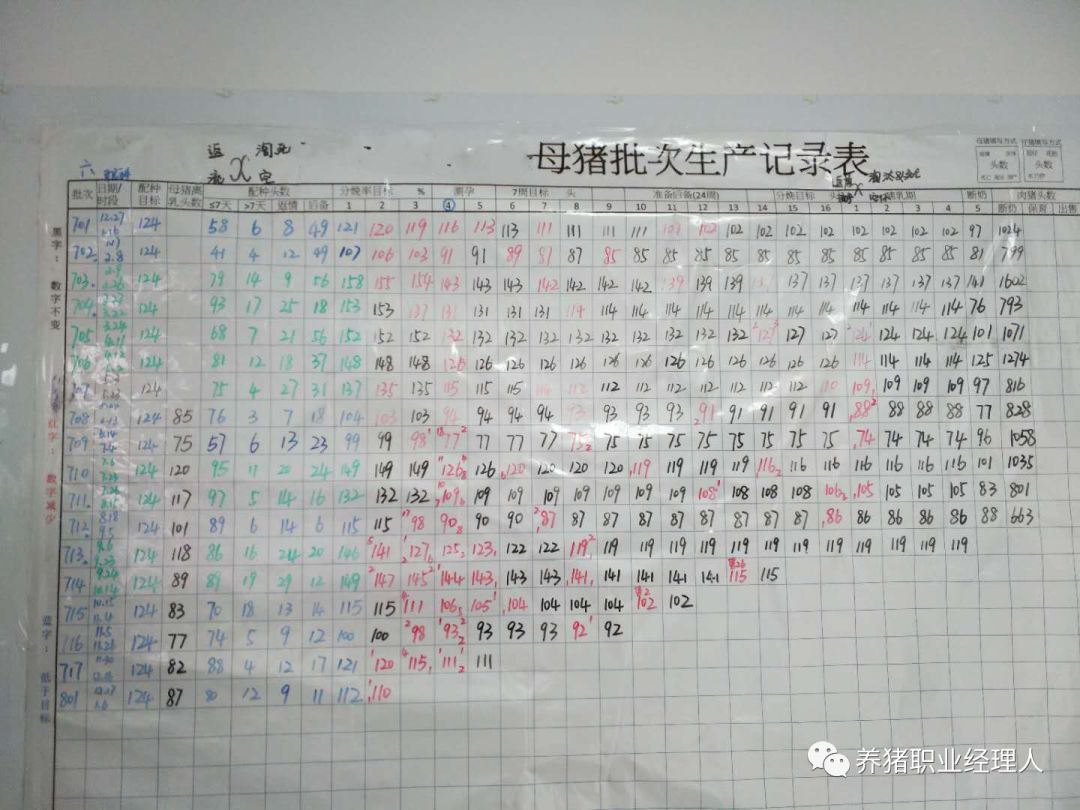 新澳门期期准,精细化实施分析_贴心版16.236