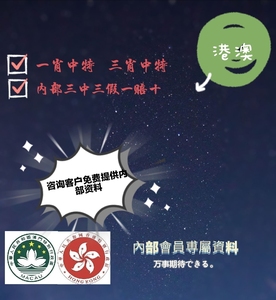 王中王精准资料期期中澳门高手,创新计划制定_传承版16.964