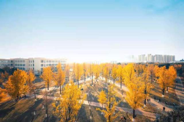 2024新奥正版资料免费,科学分析严谨解释_月光版25.596