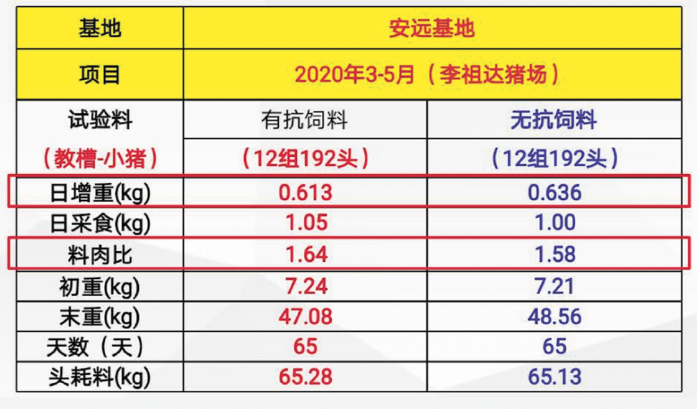 新澳2024年免资料费,执行验证计划_用心版36.862