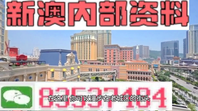 新澳精准资料免费提供濠江论坛,实地数据验证_未来版36.222