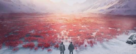 中央电视台节目预告,中央电视台节目预告，一场自然美景的探险之旅，启程吧！