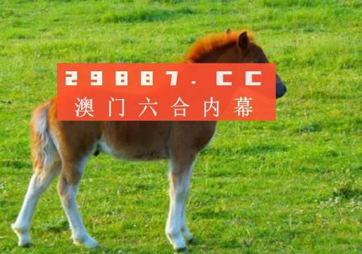 澳门一肖一码一必中一肖同舟前进,实地验证实施_主力版25.787