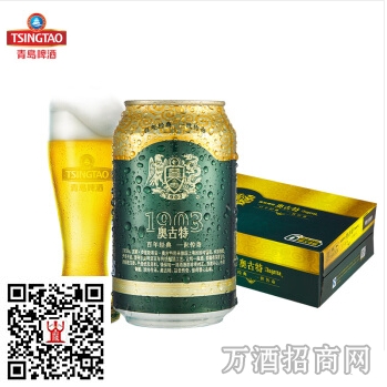 奥古特啤酒价格详解，全面步骤指南与价格概览