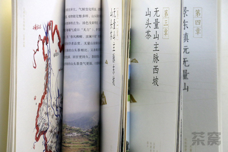 张川刘长江最新动态揭秘，小巷中的独特风味探秘之旅