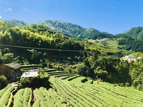 搏击高手的征途，自然之美与内心力量的融合之旅