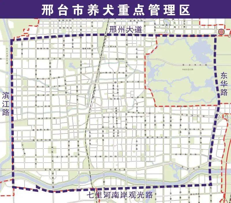 🌟聊城禁养区最新动态揭秘🌟