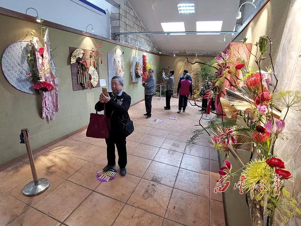 插花艺术比赛,插花艺术比赛，传统与现代的交融之美